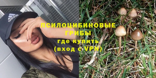 Альфа ПВП Ладушкин