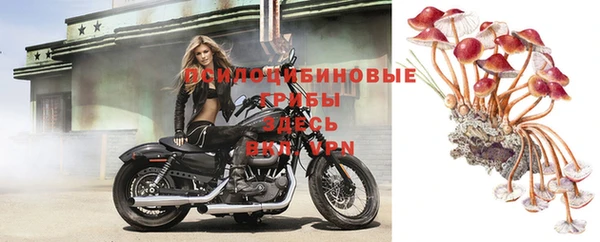 прущие крисы Липки