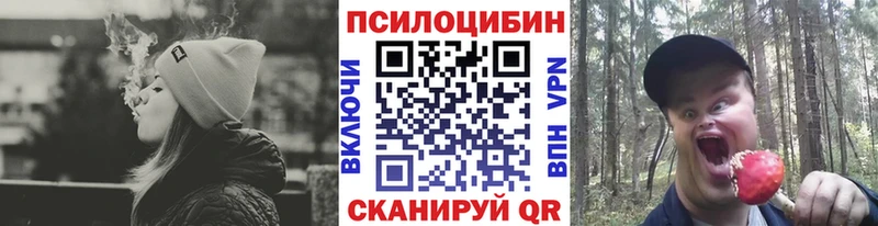 купить наркоту  Великий Новгород  Галлюциногенные грибы Cubensis 