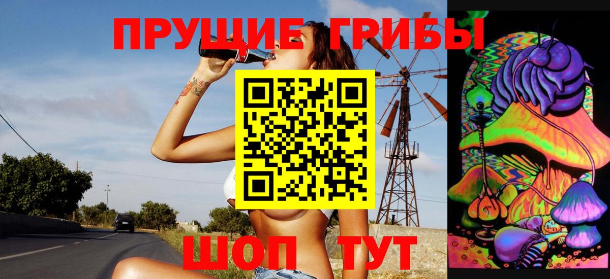 Псилоцибиновые грибы мухоморы  как найти наркотики  Великий Новгород 