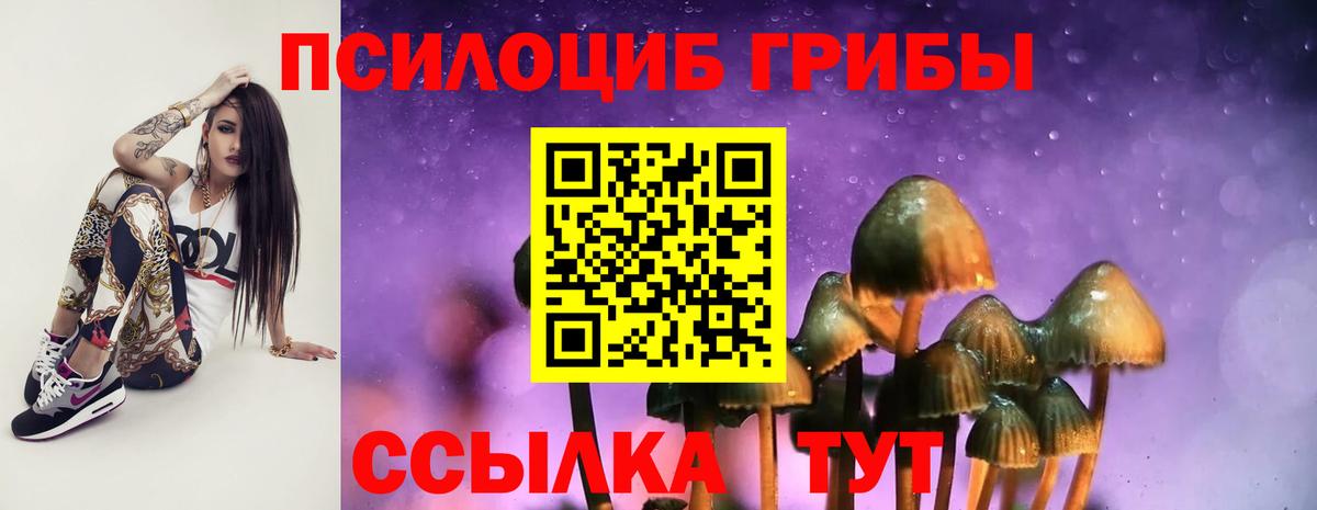 Псилоцибиновые грибы Cubensis  Псилоцибиновые грибы мицелий  Великий Новгород  Вход с VPN 